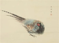 雉の図Green pheasant